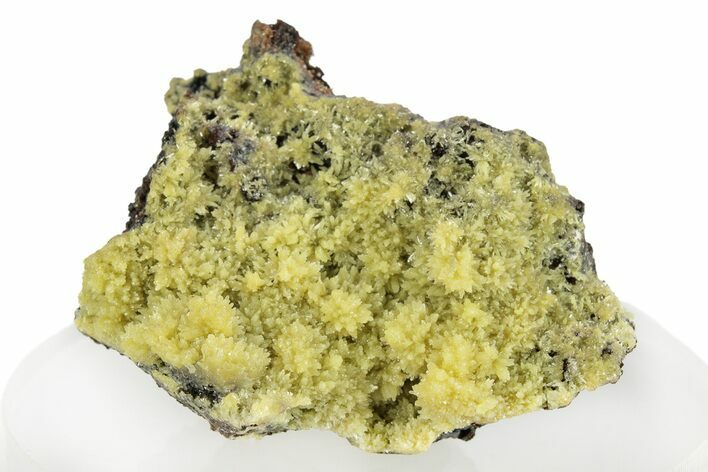 Mimetite Crystal Clusters on Limonitic Matrix - Mexico #256289